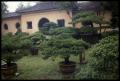 Thumbnail image of item number 1 in: '[Hangzhou Botanical Garden]'.