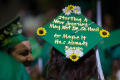 Photograph: [Decorated Graduation Cap at Undergraduate Ceremony]