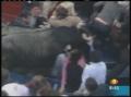 Video: [News Clip: Mexico bullfight]