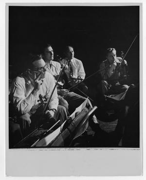 Primary view of object titled '[Photograph of Unidentified Orchestra Members]'.