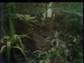 Video: [News Clip: Horticulture]
