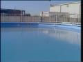 Video: [News Clip: Swimming pools]