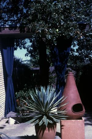 Primary view of object titled 'Willowwood House'.