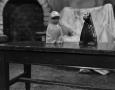 Photograph: [Wilkins and Wontkins figures on a table]