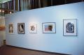 Photograph: [Photograph of an African gallery wall, featuring five art works]