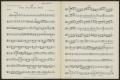 Musical Score/Notation: The Furious Mob: Viola Part