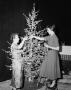 Photograph: [Ann Alden and guest decorating a Christmas tree]