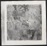 Primary view of [Aerial Photograph of Denton County, DJR-7P-29]