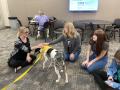 Thumbnail image of item number 1 in: '[Shannon Williams, Jodi Rhinehart-Doty, and Adriance Rhoades with therapy dog]'.