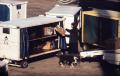 Photograph: [Airport baggage being loaded]