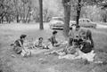 Photograph: [Williams family picnic, 5]