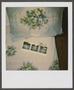 Photograph: [Three polaroids laying on a bed]