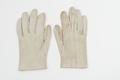 Physical Object: Ostrich skin gloves
