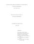 Thesis or Dissertation: Classical Simulations of the Drift of Magnetobound States of Positron…
