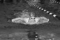Primary view of [Lauren Harris performs 100-yard butterfly, 3]