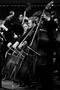 Photograph: [Double bassists perform with UNT orchestra]