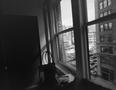 Photograph: [Photograph of a bag in front of a window]