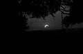 Photograph: [Partial solar eclipse, view from McKenna Park, 2]
