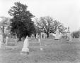 Photograph: [Rural cemetery with headstones and monuments]