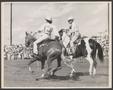 Photograph: [Two individuals riding horses during a livestock show]