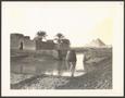 Photograph: [Man standing near a river in Egypt]