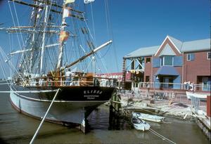 Primary view of object titled '[Elissa: A Majestic Presence at Galveston Port]'.