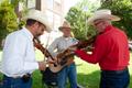 Primary view of [Harmonious Festivity: Music Under the Texas Sky]