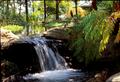 Primary view of [Enchanted Oasis: Discovering the Serenity of East Texas Arboretum's Natural Waterfall]