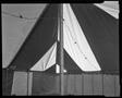 Photograph: [Pole in a circus tent]