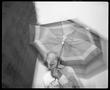 Photograph: [Umbrella Lady, 1989]
