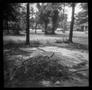 Primary view of [Yard Pile Diana, 1986]