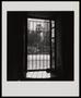 Photograph: [A barred window looking out on a street]