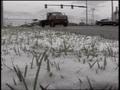 Video: [News Clip: Denver Snow]