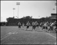 Photograph: [North Texas Vs. Tulsa Football Game, 1960]