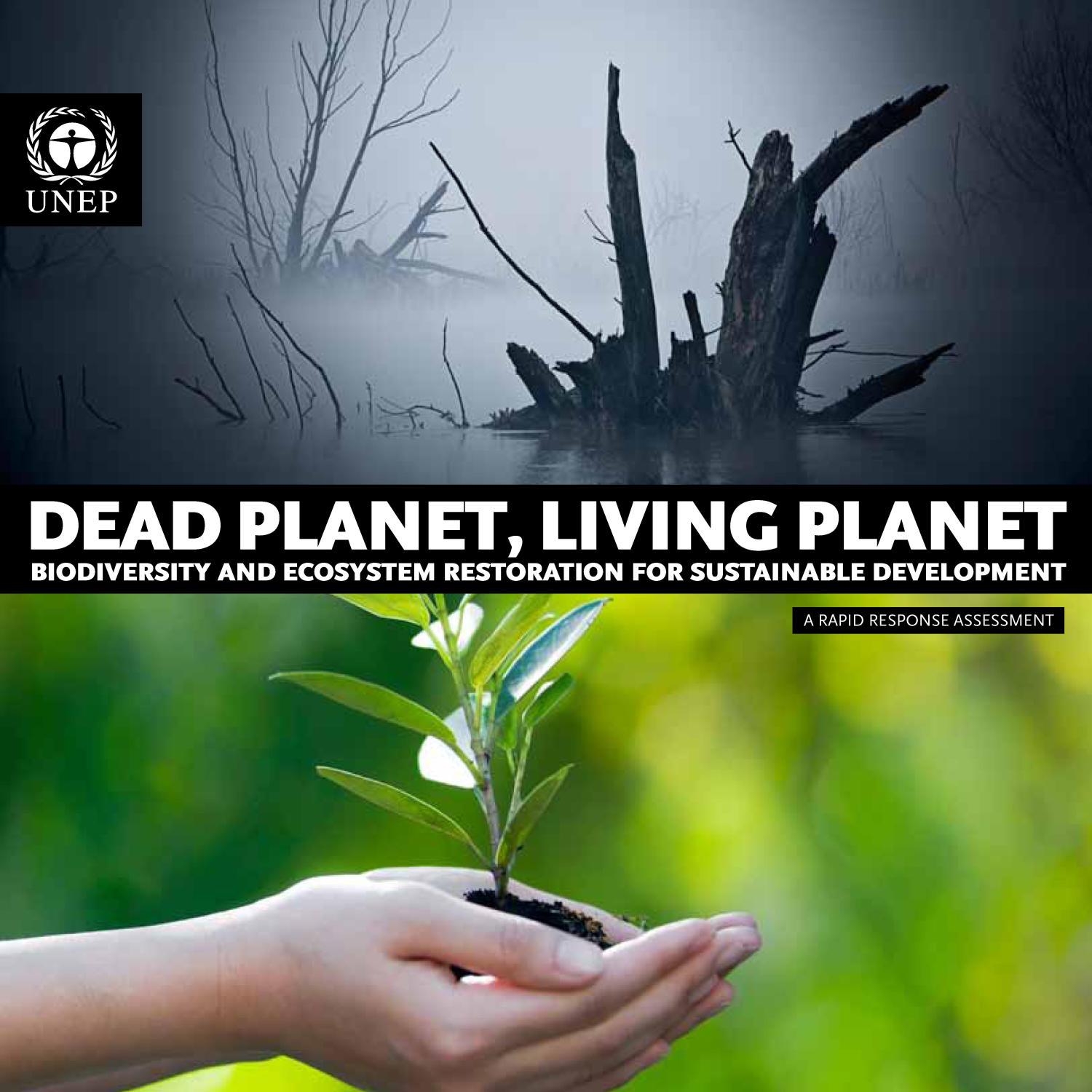 Dead Planet, Living Planet: Biodiversity and Ecosystem Restoration for Sustainable Development
                                                
                                                    Front Cover
                                                