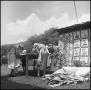 Photograph: [Women sewing at an outdoor quilting bee]