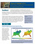 Thumbnail image of item number 1 in: 'Regional Highlights from Global Climate Change Impacts in the United States'.
