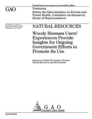 Primary view of object titled 'Natural Resources: Woody Biomass Users' Experiences Provide Insights for Ongoing Government Efforts to Promote Its Use'.