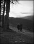 Primary view of [Couple walking Down a Lane]