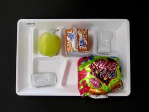 Primary view of object titled 'Student Lunch Tray: 02_20110208_02A5795'.