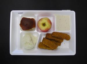 Primary view of object titled 'Student Lunch Tray: 01_20110216_01B5987'.