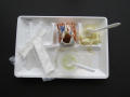 Thumbnail image of item number 2 in: 'Student Lunch Tray: 01_20110217_01B6061'.
