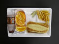Physical Object: Student Lunch Tray: 02_20110328_02A5683
