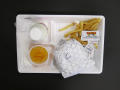 Physical Object: Student Lunch Tray: 02_20110328_02A5684