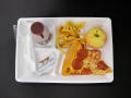 Physical Object: Student Lunch Tray: 02_20110328_02A5702
