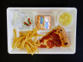 Physical Object: Student Lunch Tray: 01_20110330_01A5887