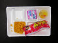 Physical Object: Student Lunch Tray: 01_20110330_01C5880