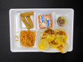 Physical Object: Student Lunch Tray: 01_20110330_01C5915