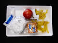 Physical Object: Student Lunch Tray: 02_20110411_02A5925