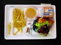Physical Object: Student Lunch Tray: 02_20110411_02A5946